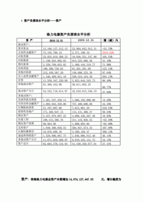 高端服饰公司财务报表（服装公司财务数据分析）