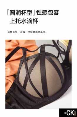 内衣品牌奢侈品（顶级内衣品牌）