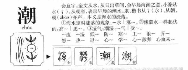 潮字潮可以换成什么偏旁？（金门潮流宝贝代理）